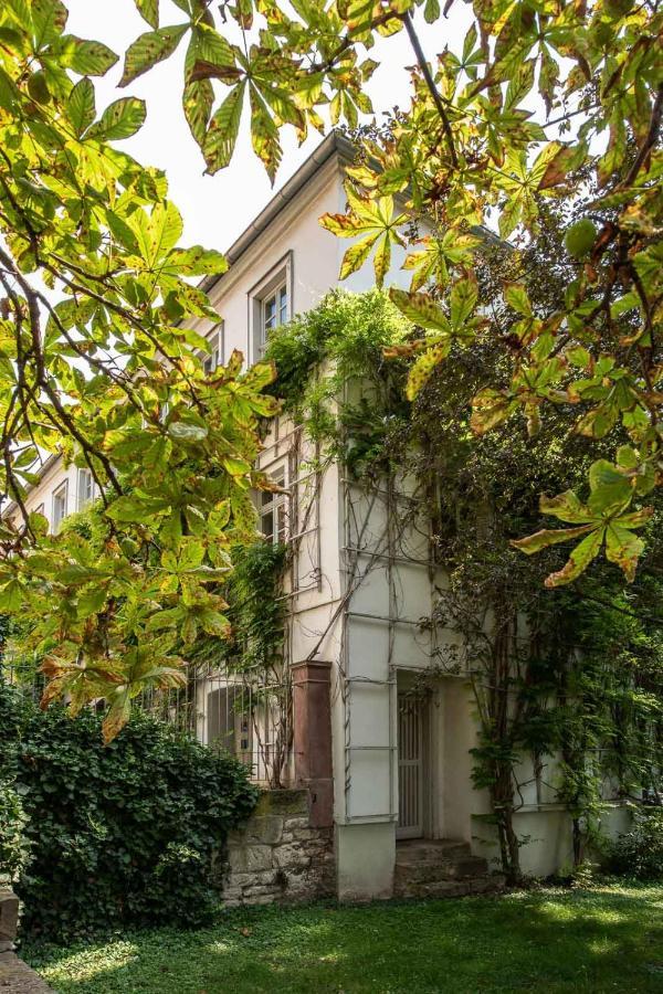 Ferienwohnung Am Dom Naumburg (Saale) Exterior foto
